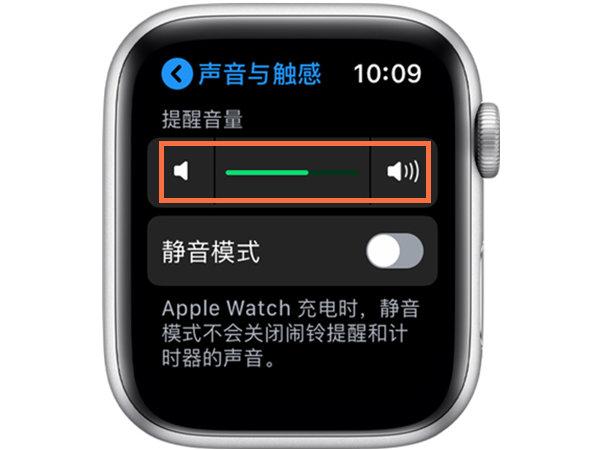 苹果手表音量调节在哪里图标