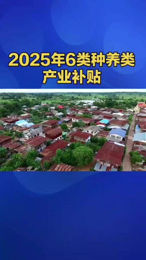 养猪补贴政策缩略图