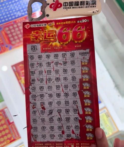 豪哥胆双胆今天缩略图