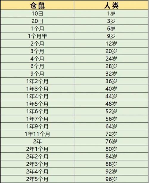 仓鼠年龄对照表图片缩略图