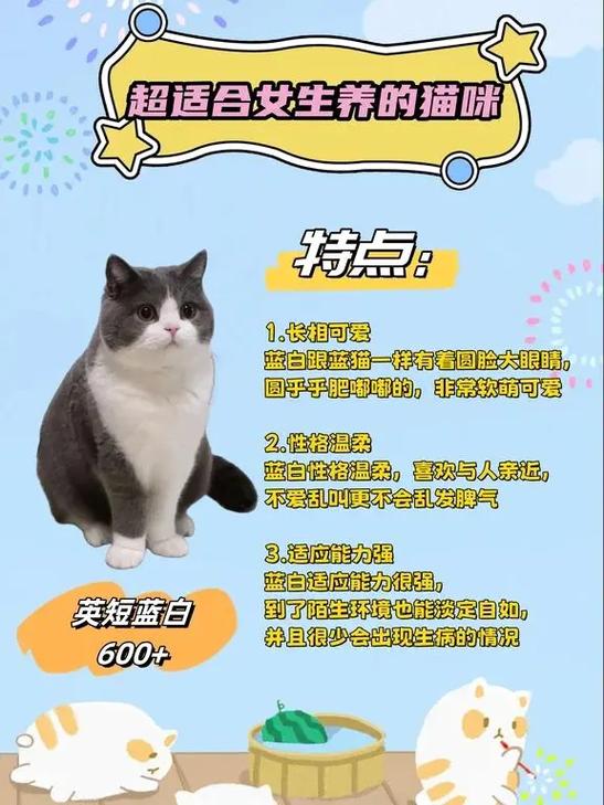 英短蓝白猫和蓝猫区别图标
