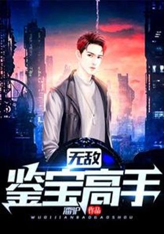 《无敌鉴宝高手》