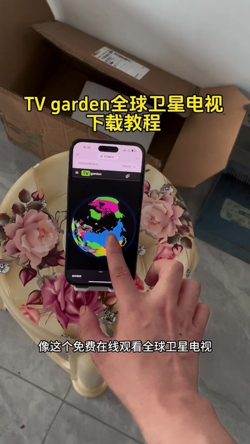 全球卫星电视TV密码游戏截图