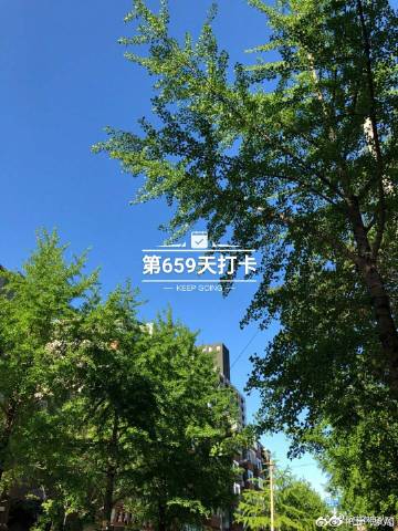 转发文章群缩略图