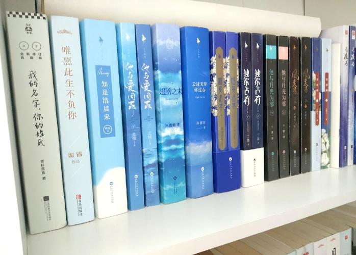 畅悦小说缩略图