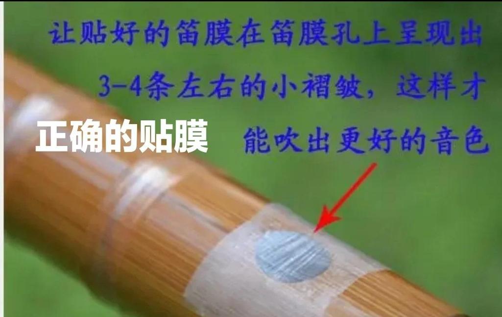 笛膜多久换一次