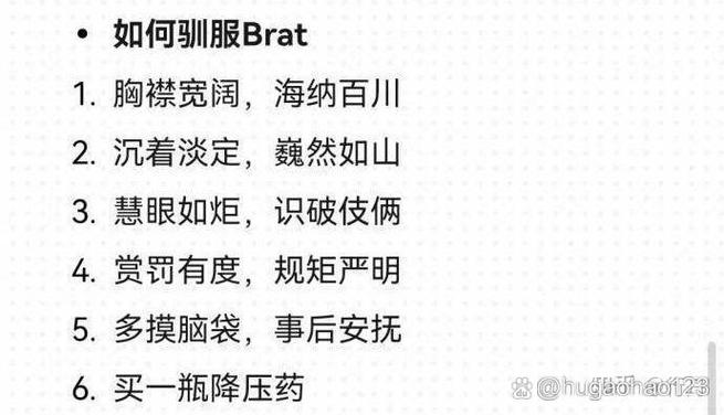 怎么跟brat相处图标