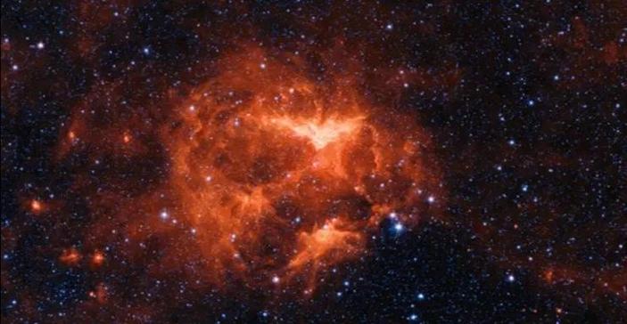 加查星云南瓜图标