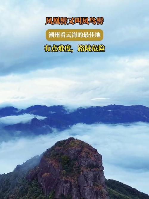 潮州凤凰髻缩略图