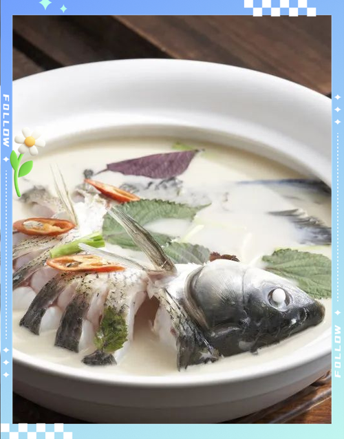 下过滤鱼缸水浑浊