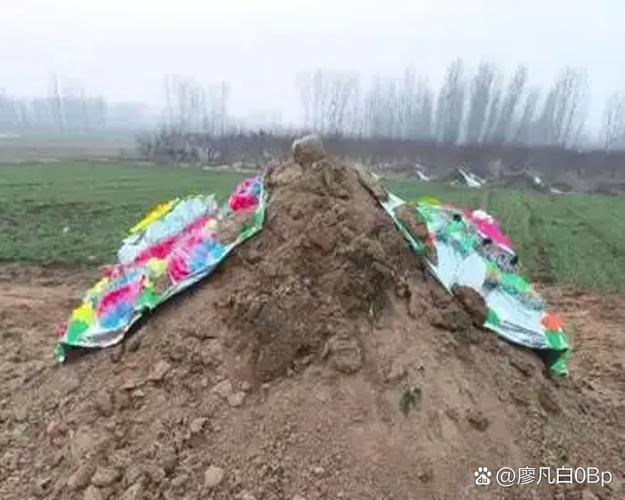 最好的土地流转平台