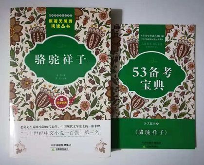 训骆驼视频教程图标