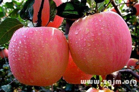 梦见苹果带缘分在暗示什么