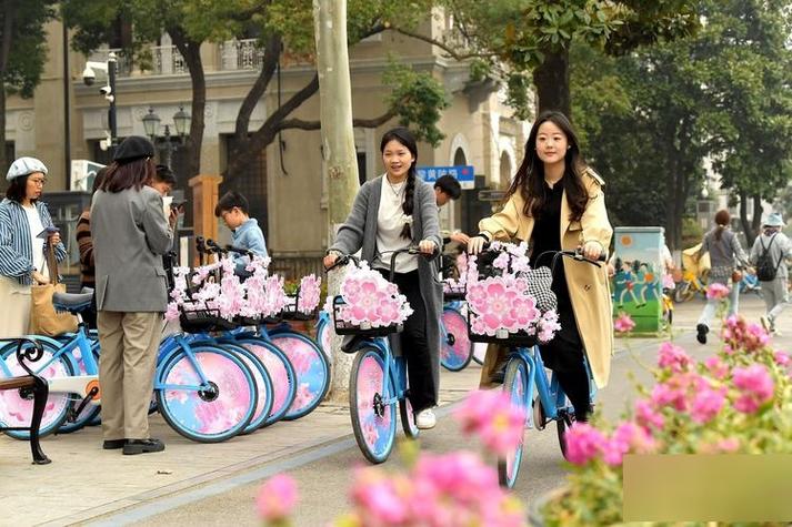 哈啰单车收费规则2023缩略图