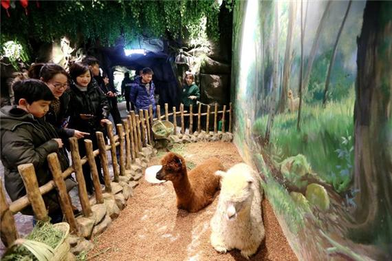 激萌宠物桌面图标