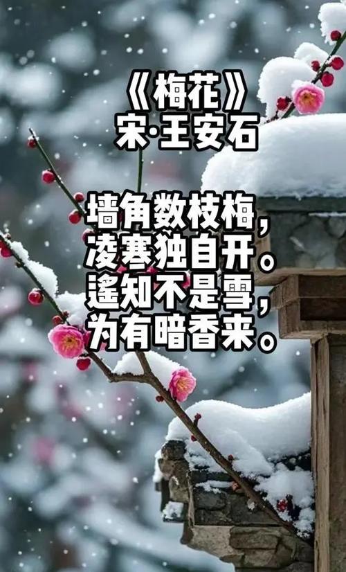 梅花诗原文全文游戏截图