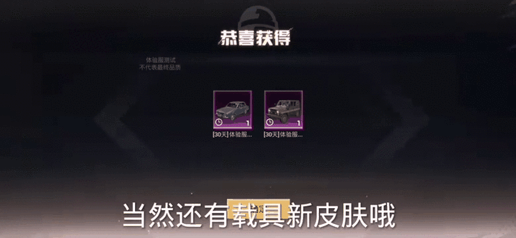 免费领和平精英皮肤永久免费缩略图