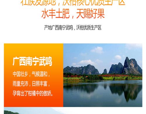 柑橘推广文案图标