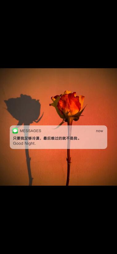 情感爆款文案素材库游戏截图