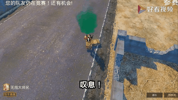 ipadair3玩吃鸡断触缩略图
