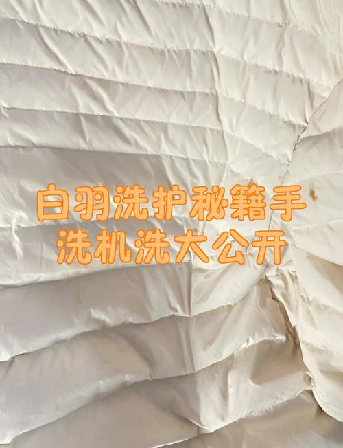 白色羽绒服如何防止脏