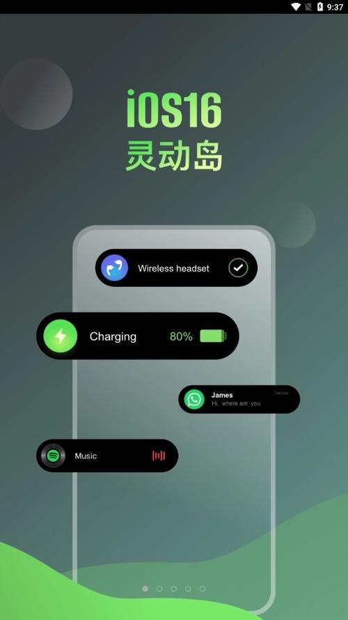 灵动岛破解版永久vip缩略图