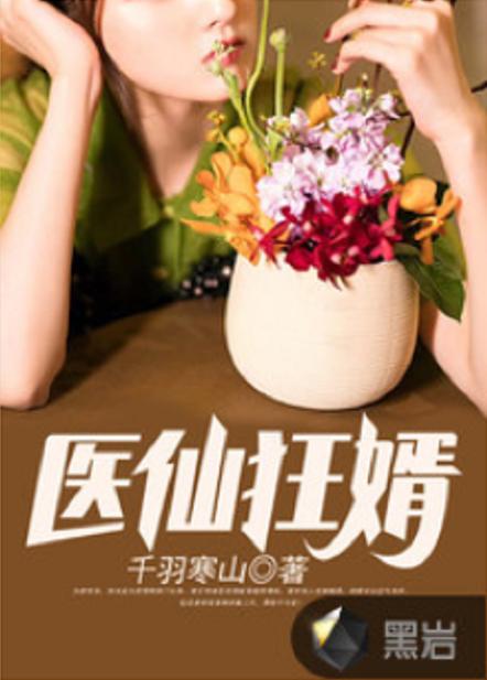 医仙狂婿