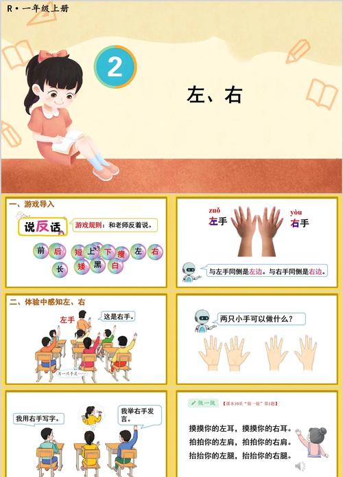 我的左手右手多少集