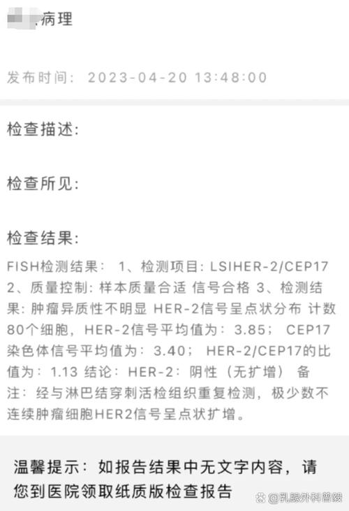 FISH检测是什么意思游戏截图