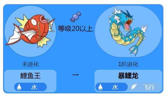 口袋妖怪白金鲤鱼王几级进化
