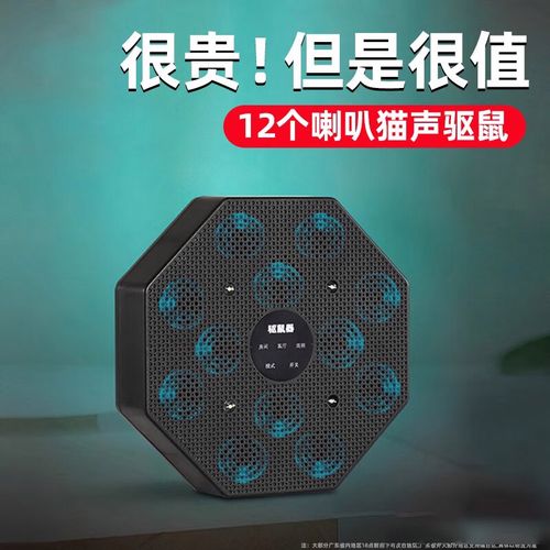 猫的叫声播放吓老鼠缩略图