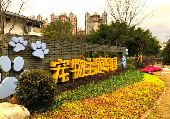 宠物用品行业太难做了缩略图
