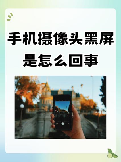 手机摄像头黑乎乎一片怎么回事游戏截图