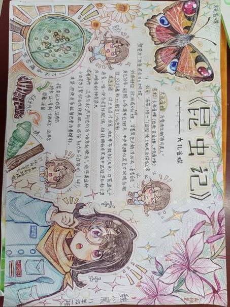 《昆虫记》昆虫档案缩略图