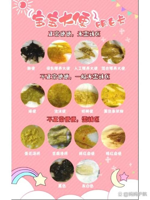 大便图片对照表图标