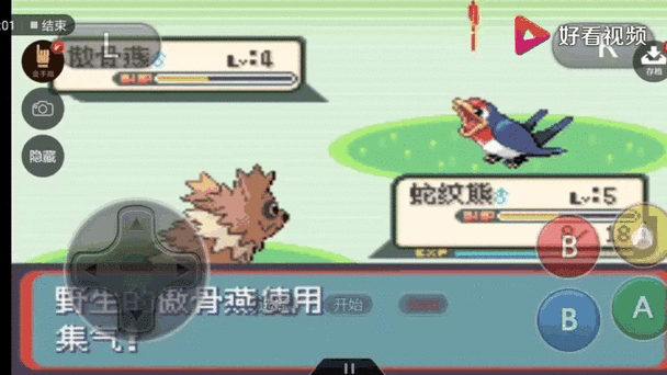 口袋妖怪蛇纹木二周目迷宫