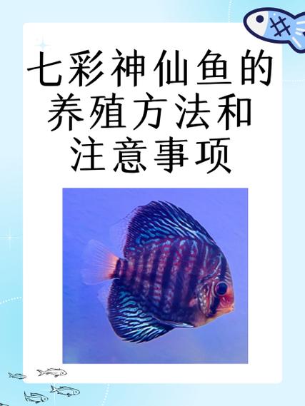 养七彩鱼10大忌图标
