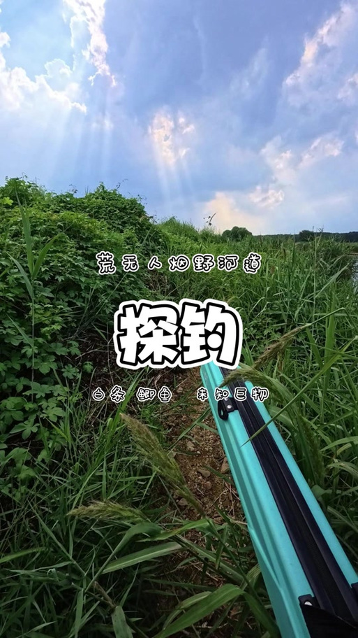 烟雨江湖鱼竿缩略图