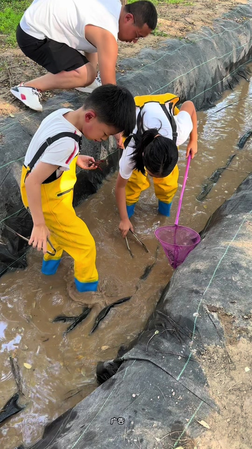 抓鱼抓螃蟹的赶海游戏缩略图