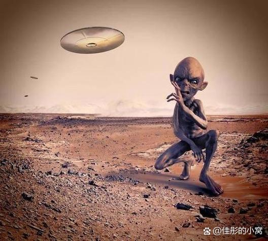 星球人最新版下载缩略图