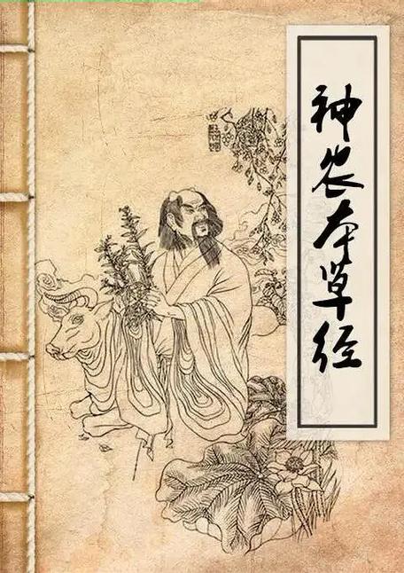 神农氏尝了什么草死的