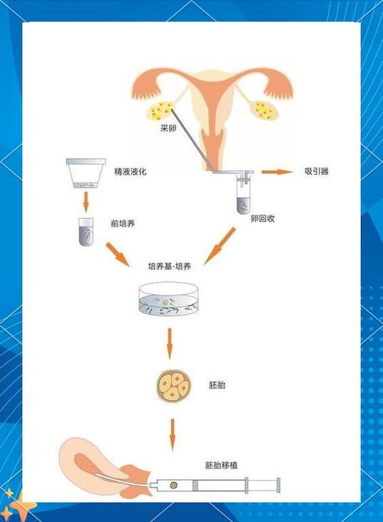 成都试管婴儿哪家医院做的最好图标