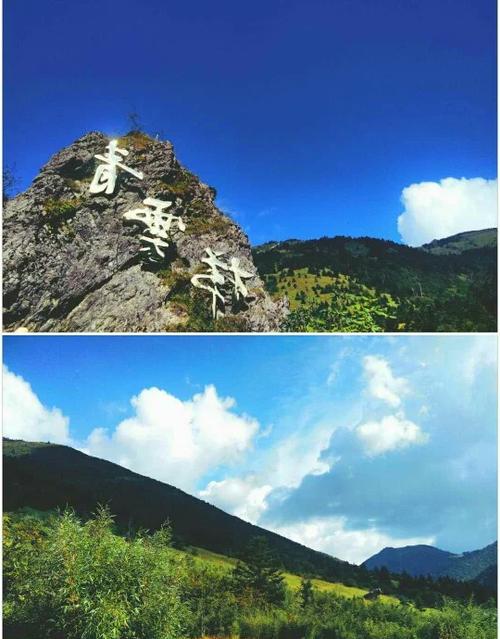 神农架60岁以上老人免费吗缩略图