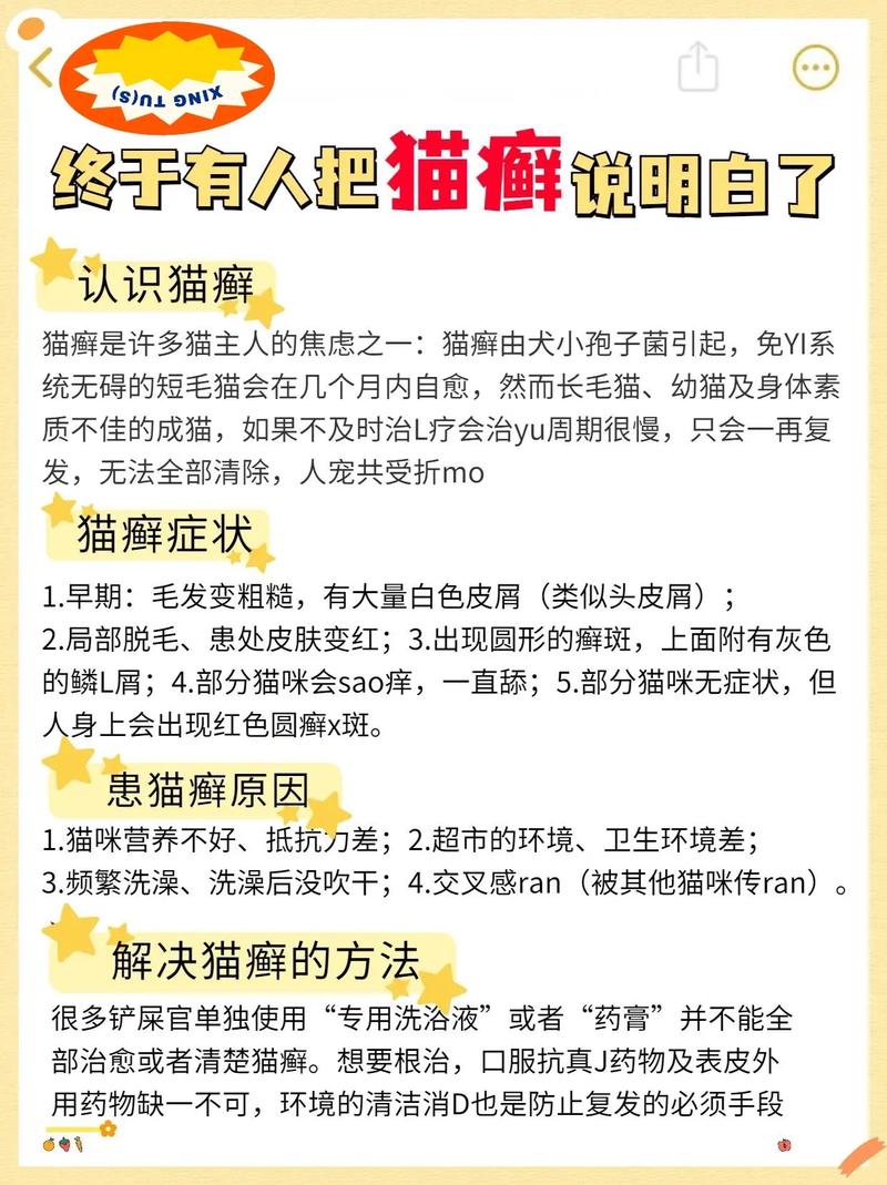 猫咪常见皮肤病症状及图片