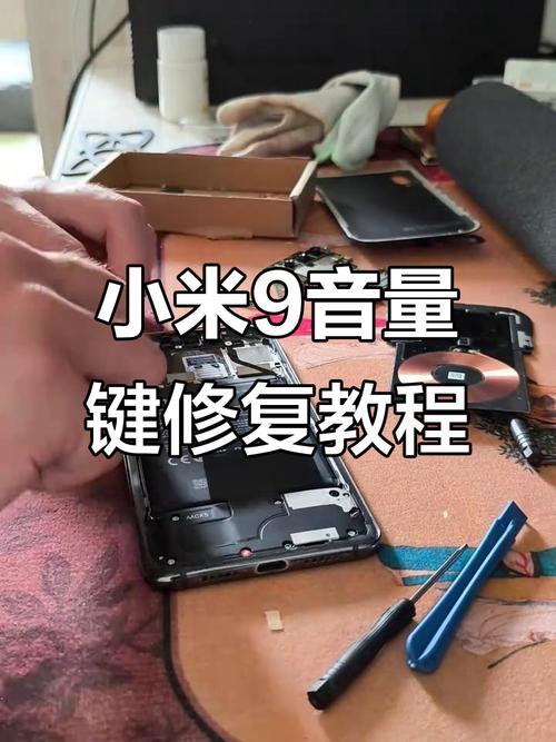 手机音量键卡进去出不来了