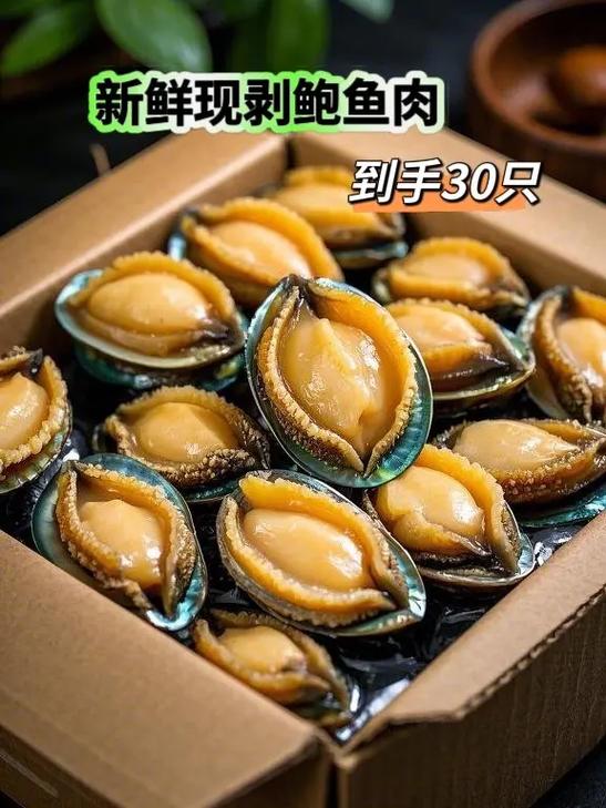 一斤鲍鱼多少钱缩略图
