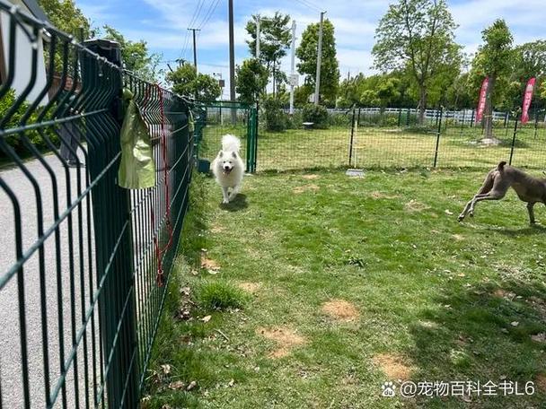 适合带宠物旅游的地方图标