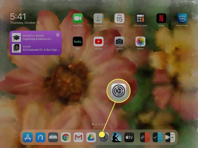ipad缓存的视频在哪个文件夹缩略图