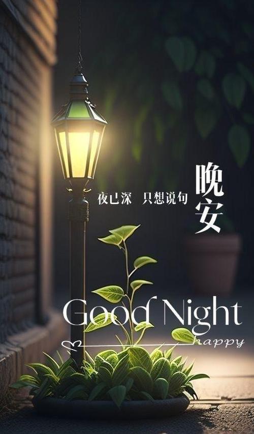 晚安,早睡早起缩略图