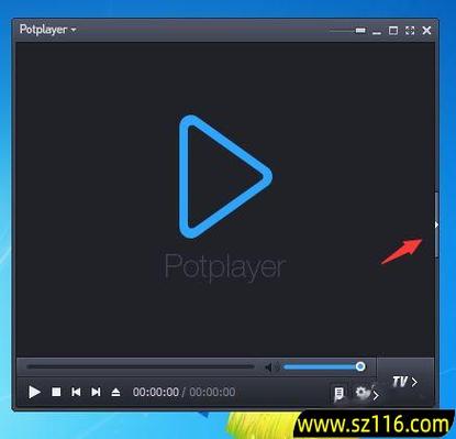 potplayer手机版下载游戏截图